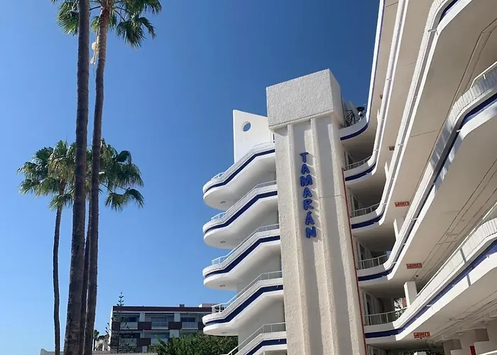 Cosy Floor * 普拉亚戴尔雷安格莱斯